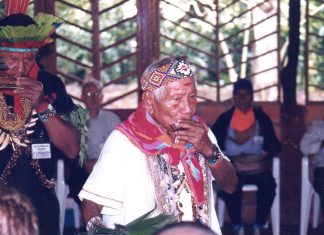 The Diverse Shamanisms of South America In Brazil, Indigenous people and city-dwellers of all backgrounds mix various shamanic practices, including rituals imported from North America and elsewhere.