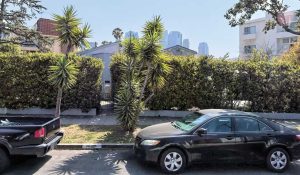 1672 pandora avenue in los angelesAPPLE MAPS