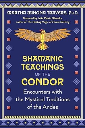 Shamanic Teachings of the Condor: Encounters with the Mystical ...