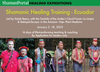 Shamanic Healing and Training – Ecuador