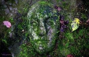 A "benevolent spirit of the forest," a stone face has become an important source of lore in the New River region.