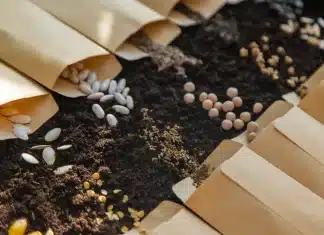 ‘Living seed bank’ could have the potential to preserve the Amazon rainforest’s threatened plant species: ‘It can provide everything we need’ 'Living seed bank' could have the potential to preserve the Amazon rainforest's threatened plant species: 'It can provide everything we need'