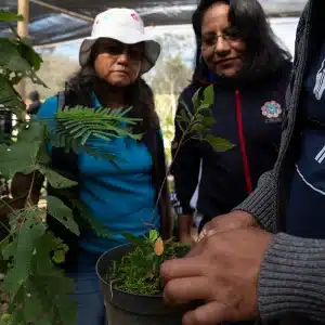 Joaquin Carrillo showcases a medicinal plant at Grupedsac to teachers from a nearby school on 7 December 2023 (Credit: Stephania Corpi Arnaud)