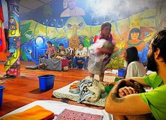 Shamans Fear for the Extinction of Ayahuasca in the Peruvian Amazon Indigenous leaders denounce a “spiritual extractivism” of the psychedelic plant taking place and warn about the impacts of its exploitation on the forest and traditional knowledge.