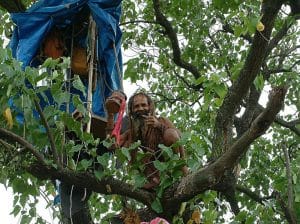 Sadhu Adbangnath, a Hindu priest, in a tree where he has made his home in Bombay. He has been living here for a month in a unique protest, after a builder demolished a temple where he would pray. Keystone