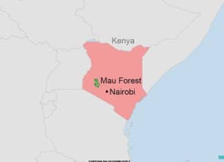Evicting indigenous people The Ogiek indigenous people of Kenya are at risk as the government wants to evict them from the Mau Forest. The move has raised concerns over human-rights abuses with activists blaming the government for failing to respect the law.