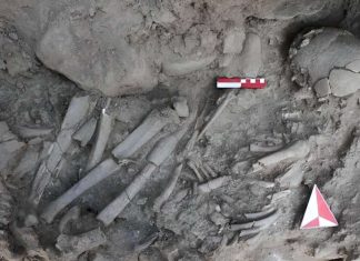 Woman buried 12,000 years ago in Turkey may have been a shaman The burial of the "shaman" included a woman curled up on her right side and accompanied by a variety of animal bones. Credit: Associate Professor Doctor Ergül Kodaş