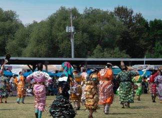 In the powwow circle, Indigenous people are ‘dancing for our families, our Elders and our babies’ Jingle dresses, medicine wheel colours and eagle feathers are some of the ways dancers use regalia to tell stories of the land, history and people