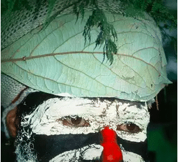 Shaman: The Medicine of Soul – Documental Shaman: The Medicine of Soul