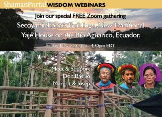 Free Zoom Gathering to support the Siekopai community in building a new Yaje house on the Rio Aguarico