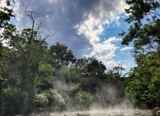 At Over 86°C, The “Boiling River” Of The Amazon Can Literally Cook You Alive The waters of Shanay-timpishka are hot enough to brew a good cup of tea – and cook animals alive. - Image credit: MudaCom/Shutterstock.com