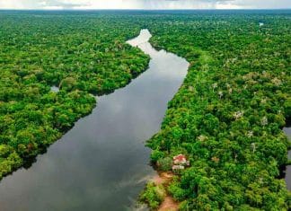 Laser Mapping Discovers Ancient Amazonian Cities Over 2,500 Years Old Laser Mapping Discovers Ancient Amazonian Cities Over 2,500 Years Old