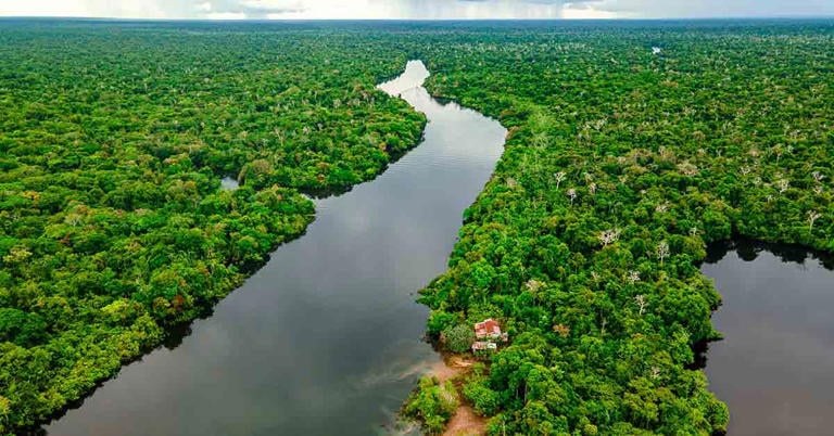 Laser Mapping Discovers Ancient Amazonian Cities Over 2,500 Years Old