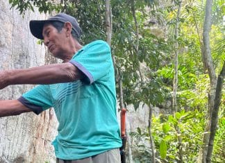 Indigenous elders and ritual specialists help to unlock the meaning of ancient Amazonian rock art Indigenous elders and ritual specialists help to unlock the meaning of ancient Amazonian rock art