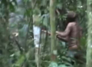 Mother of three dies at ‘psychedelic tea’ retreat in Amazon jungle