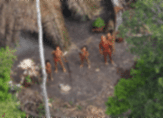 Discovery Of Uncontacted Amazonian Tribe Thrills Researchers Discovery Of Uncontacted Amazonian Tribe Thrills Researchers