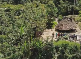 U’wa Indigenous People in Colombia Win Major Victory at Inter-American Court of Human Rights U’wa Indigenous People in Colombia Win Major Victory at Inter-American Court of Human Rights