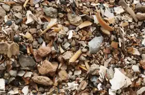 In addition to bone fragments, broken snail shells, small lumps of burnt clay and pieces of charcoal can be seen (Heiko Prümers/German Archaeological Institute)