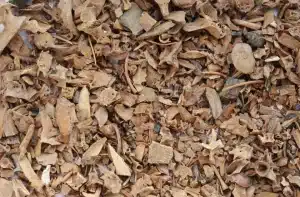 Thousands of animal bones were found during excavations in the ceremonial area of the Salvatierra settlement (Heiko Prümers/German Archaeological Institute)