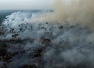 Brazil Saw 79% Jump In Area Burned By Fires In 2024: Monitor Some 30.8 million hectares (119,000 square miles) of vegetation were burned in Brazil in 2024, a 79 percent increase from 2023, monitoring platform MapBiomas reported MICHAEL DANTAS