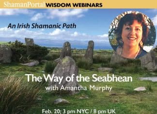 THE WAY OF THE SEABHEAN with Amantha Murphy THE WAY OF THE SEABHEAN with Amantha Murphy