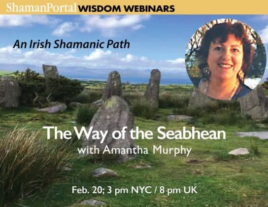 THE WAY OF THE SEABHEAN with Amantha Murphy