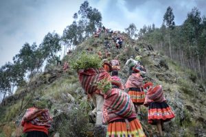 Reforestation day in the Vilcanota mountain range in Peru. Image courtesy of Luis Torres.