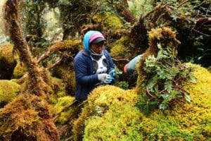 Ecuadorian farmers taking part in a reforestation activity. Image courtesy of Eduardo Obando.