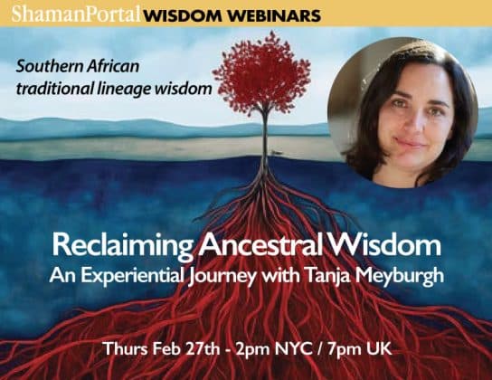 Reclaiming Ancestral Wisdom – An Experiential Journey with Tanja Meyburgh