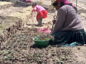 A community in Bolivia’s Tunari mountain range. Image courtesy of Faunagua.