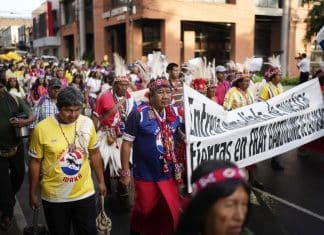 Their sacred land was a gift for their courage. Yet Maká people in Paraguay fight for its ownership