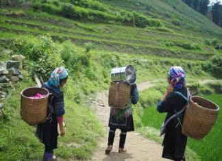 What message did Indigenous leaders bring to world leaders at Davos 2025? Indigenous leaders are well placed to advise on climate change adaptation strategies given their long-standing stewardship of natural resources.