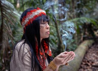 ‘This is your mission’: why one Brazilian doctor is training to be a shaman