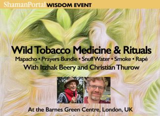 Wild Tobacco Medicine & Rituals with Itzhak Beery and Christian Thurow