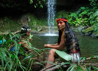 Who Has the Right to Decide What Happens on Indigenous Lands? Silvana Nihua, a member of the Kiwaro community and former OWAP president, sits near a sacred waterfall in a Waorani community's territory, Pastaza, Ecuadorian Amazon. Credit: Nico Kingman/Amazon Frontlines