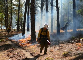 California tribes rekindle ancient fire traditions to heal the land and themselves