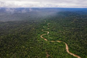 An aerial view of ancestral territory of Waorani communities in Pastaza, Ecuadorian Amazon. Credit: Martin Kingman/Amazon Frontlines