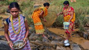 Women from the Paroja Indigenous community try to catch fish in a stream during the Chaitra Parab festival, a monthlong harvest celebration, April 2025.AP Photo/Rafiq Maqbool
