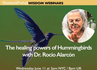 The Healing Powers of Hummingbirds: Ancestral Wisdom for Modern Times With Dr. Rocío Alarcón
