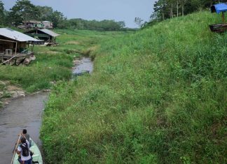 Colombia takes regional lead in Indigenous self-government People maneuver by boat through the low water levels of a tributary that connects with the Amazon River, in Isla de la Fantasia, on the outskirts of Leticia, Colombia, Oct. 20, 2024. (AP Photo/Ivan Valencia, File)