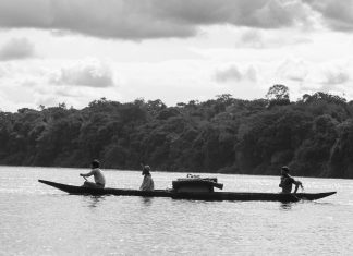 Five Free Movies to Stream Now The Colombian director Ciro Guerra’s 2015 film “Embrace of the Serpent” follows an isolated shaman aiding two different white researchers 40 years apart.Credit...Andres Córdoba