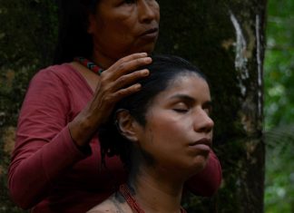 Ayahuasca tourism’ is a blight on Indigenous peoples and our environment Nina Gualinga in the Guardian documentary Waska. Photograph: Nina Gualinga