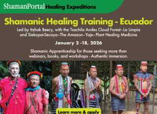 Shamanic Healing Training- Ecuador Andes Cloud Forest & Amazon Rainforest