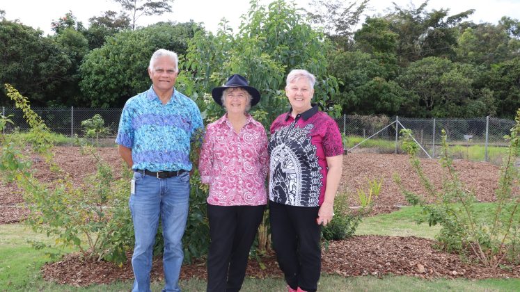 Traditional bush medicine garden opens at Sarina Hospital