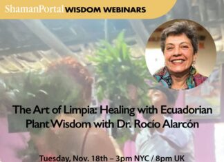 The Art of Limpia: Healing with Ecuadorian Plant Wisdom with Dr. Rocío Alarcón