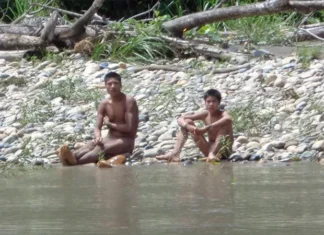 ‘Brothers in the forest’ – the fight to protect an isolated Amazon tribe