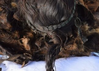 Siberia’s Last Shaman: DNA Study Uncovers a Woman Who Defied Empire and Time