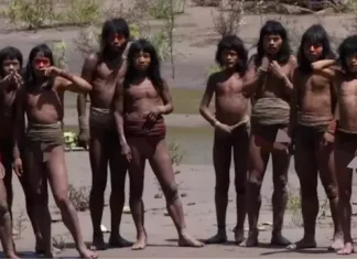 What we know about uncontacted Amazonian tribe after never-before-seen footage sparks wild theories