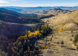 Washoe Tribe buys 10,000 acres in one of California’s largest ever land returns