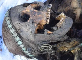One of the last Siberian shamans was an 18th-century woman whose parents were related, DNA study reveals